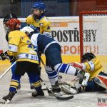 Úplný závěr sezony obstarali v Písku nejmladší hokejisté