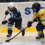 Úplný závěr sezony obstarali v Písku nejmladší hokejisté