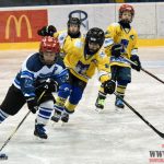 Úplný závěr sezony obstarali v Písku nejmladší hokejisté