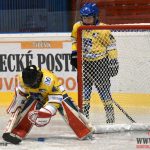 Úplný závěr sezony obstarali v Písku nejmladší hokejisté
