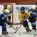 Úplný závěr sezony obstarali v Písku nejmladší hokejisté