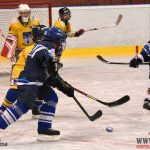 Úplný závěr sezony obstarali v Písku nejmladší hokejisté