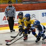 Úplný závěr sezony obstarali v Písku nejmladší hokejisté