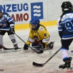 Úplný závěr sezony obstarali v Písku nejmladší hokejisté