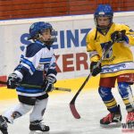 Úplný závěr sezony obstarali v Písku nejmladší hokejisté