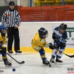 Úplný závěr sezony obstarali v Písku nejmladší hokejisté