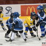 Úplný závěr sezony obstarali v Písku nejmladší hokejisté