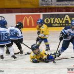 Úplný závěr sezony obstarali v Písku nejmladší hokejisté