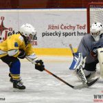 Úplný závěr sezony obstarali v Písku nejmladší hokejisté
