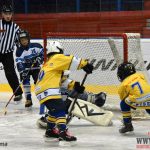 Úplný závěr sezony obstarali v Písku nejmladší hokejisté