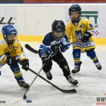 Úplný závěr sezony obstarali v Písku nejmladší hokejisté