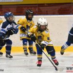 Úplný závěr sezony obstarali v Písku nejmladší hokejisté