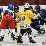 Úplný závěr sezony obstarali v Písku nejmladší hokejisté