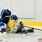 Úplný závěr sezony obstarali v Písku nejmladší hokejisté