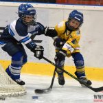 Úplný závěr sezony obstarali v Písku nejmladší hokejisté