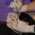 Tattoo Jam s vrhačem nožů a věšením na háky