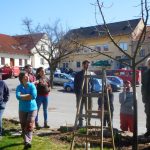 Jak správně provádět řez stromů? Na to odpovídal seminář v Nadějkově