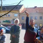Jak správně provádět řez stromů? Na to odpovídal seminář v Nadějkově
