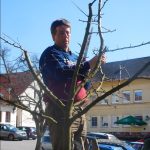 Jak správně provádět řez stromů? Na to odpovídal seminář v Nadějkově