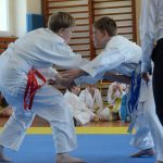 Odstartovala série turnajů v bojových sportech: Začínající karatisté takřka zaplnili kapacitu haly