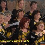 Synagoga v Milevsku se rozezněla písněmi Milevského smíšeného sboru a táborského Domina