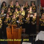 Synagoga v Milevsku se rozezněla písněmi Milevského smíšeného sboru a táborského Domina