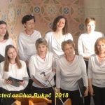 Synagoga v Milevsku se rozezněla písněmi Milevského smíšeného sboru a táborského Domina
