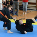 Vyznavači bojového umění Allkampf-jitsu se sešli v Milevsku