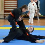 Vyznavači bojového umění Allkampf-jitsu se sešli v Milevsku