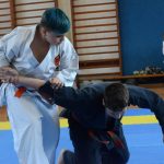 Vyznavači bojového umění Allkampf-jitsu se sešli v Milevsku
