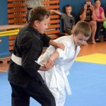 Vyznavači bojového umění Allkampf-jitsu se sešli v Milevsku