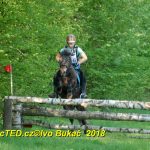 Nejvyšší soutěž military závodů v Přeštěnici vyhrál Josef Plas z Tábora