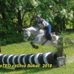 Nejvyšší soutěž military závodů v Přeštěnici vyhrál Josef Plas z Tábora