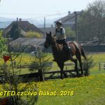 Nejvyšší soutěž military závodů v Přeštěnici vyhrál Josef Plas z Tábora