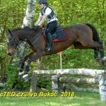 Nejvyšší soutěž military závodů v Přeštěnici vyhrál Josef Plas z Tábora