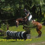 Nejvyšší soutěž military závodů v Přeštěnici vyhrál Josef Plas z Tábora