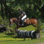 Nejvyšší soutěž military závodů v Přeštěnici vyhrál Josef Plas z Tábora