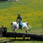 Nejvyšší soutěž military závodů v Přeštěnici vyhrál Josef Plas z Tábora