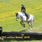 Nejvyšší soutěž military závodů v Přeštěnici vyhrál Josef Plas z Tábora