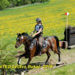 Nejvyšší soutěž military závodů v Přeštěnici vyhrál Josef Plas z Tábora