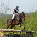 Nejvyšší soutěž military závodů v Přeštěnici vyhrál Josef Plas z Tábora