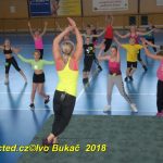 Vydařená premiéra soutěžního aerobiku Master Class v Milevsku. Čtyři medaile zůstaly doma!
