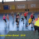 Vydařená premiéra soutěžního aerobiku Master Class v Milevsku. Čtyři medaile zůstaly doma!