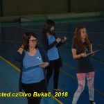 Vydařená premiéra soutěžního aerobiku Master Class v Milevsku. Čtyři medaile zůstaly doma!