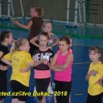 Vydařená premiéra soutěžního aerobiku Master Class v Milevsku. Čtyři medaile zůstaly doma!