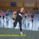 Vydařená premiéra soutěžního aerobiku Master Class v Milevsku. Čtyři medaile zůstaly doma!