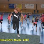 Vydařená premiéra soutěžního aerobiku Master Class v Milevsku. Čtyři medaile zůstaly doma!