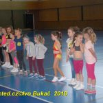 Vydařená premiéra soutěžního aerobiku Master Class v Milevsku. Čtyři medaile zůstaly doma!