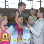 Vydařená premiéra soutěžního aerobiku Master Class v Milevsku. Čtyři medaile zůstaly doma!