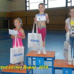 Vydařená premiéra soutěžního aerobiku Master Class v Milevsku. Čtyři medaile zůstaly doma!